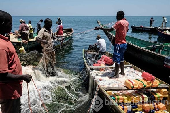 İşte dünyanın en kalabalık adası: Migingo Adası
