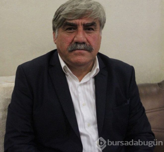 Yeşil çamın Hüdaverdi'sinin son haline bakın!