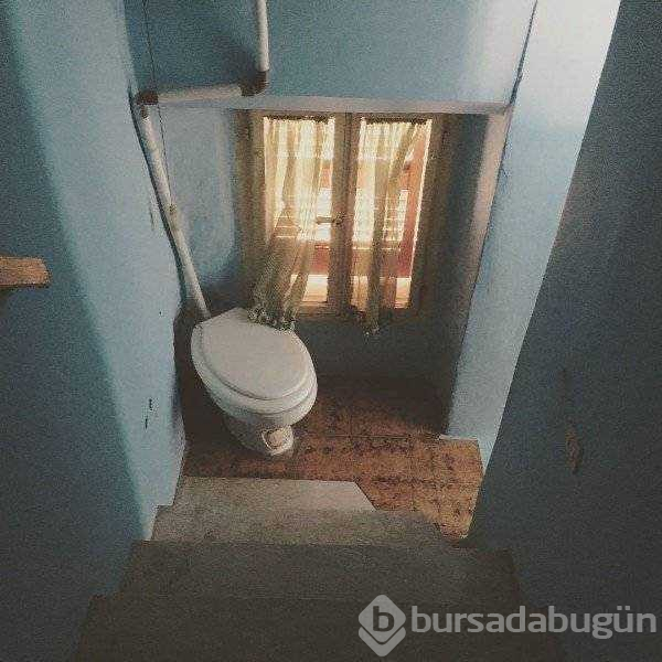 Günün en çok paylaşılan fotoğrafları (24.10.2018)

