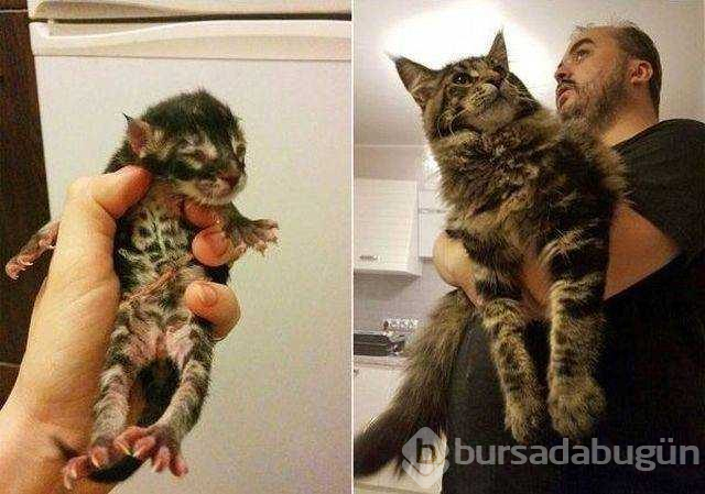 Günün en çok paylaşılan fotoğrafları (24.10.2018)
