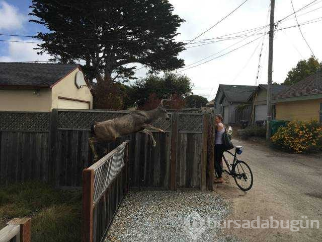 Günün en çok paylaşılan fotoğrafları (24.10.2018)
