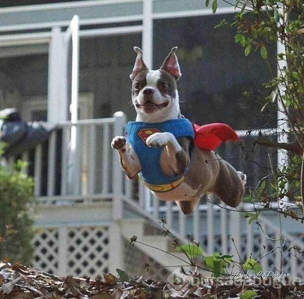 Günün en çok paylaşılan fotoğrafları (24.10.2018)
