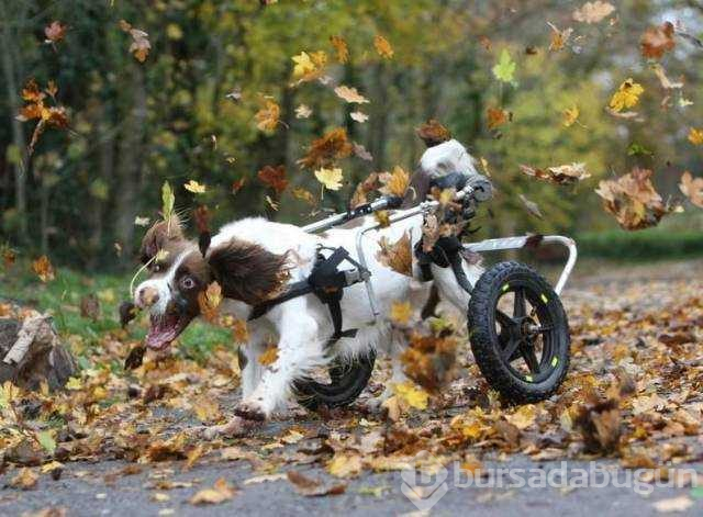 Günün en çok paylaşılan fotoğrafları (24.10.2018)
