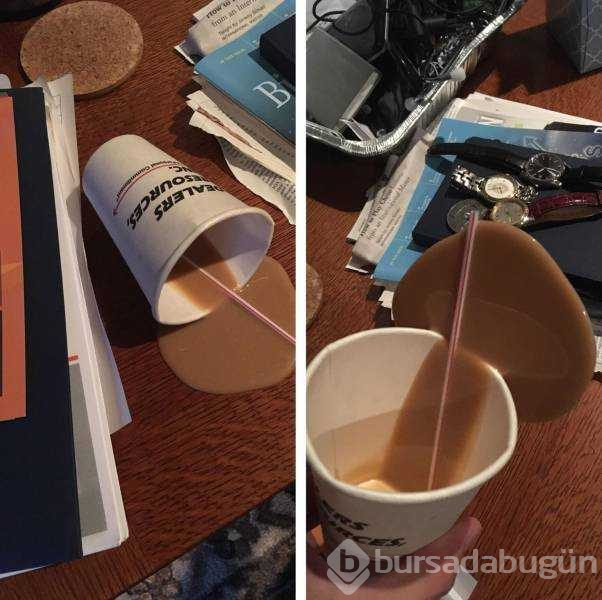 Günün en çok paylaşılan fotoğrafları (24.10.2018)
