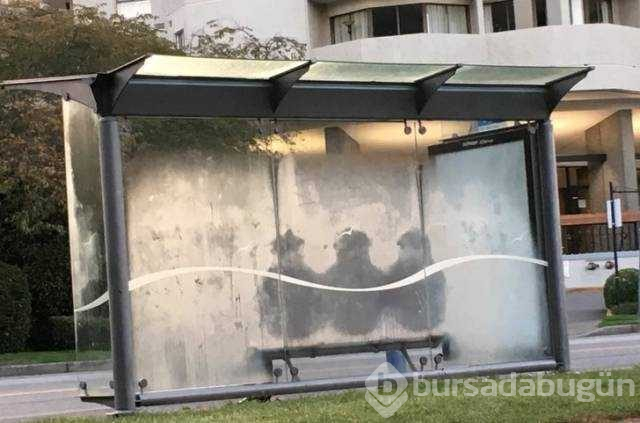 Günün en çok paylaşılan fotoğrafları (24.10.2018)
