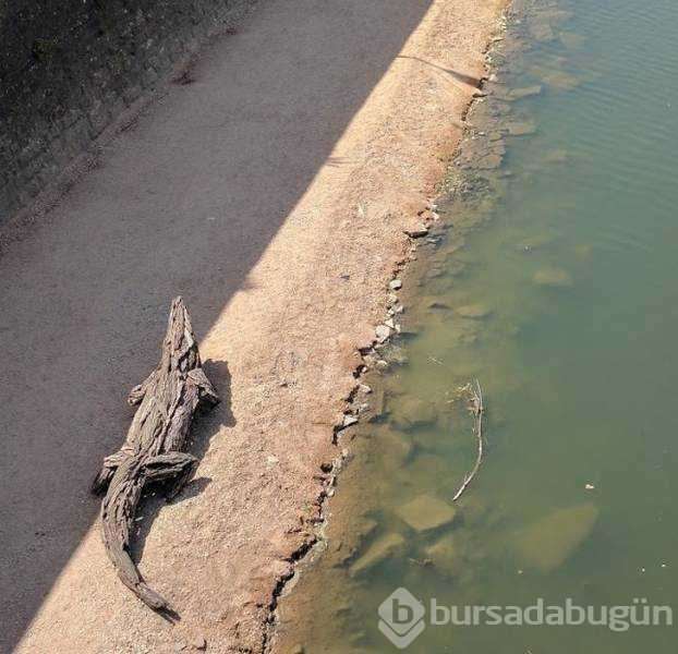 Günün en çok paylaşılan fotoğrafları (24.10.2018)

