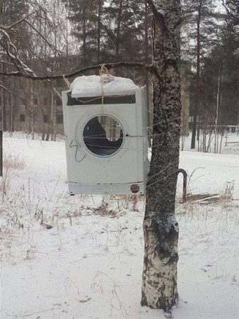 Rusya'nın diğer yüzü