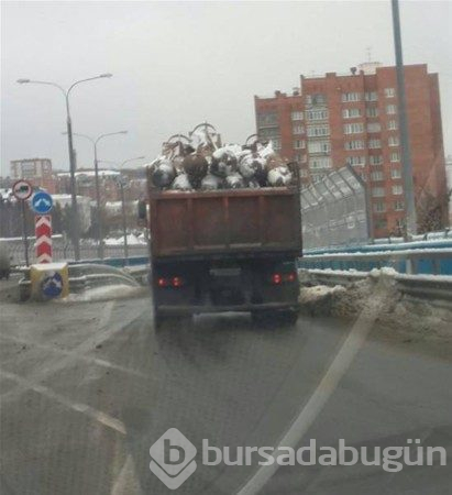 Rusya'nın diğer yüzü