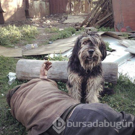 Rusya'nın diğer yüzü