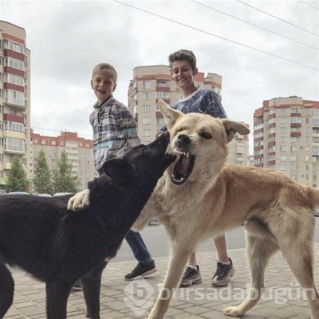 Rusya'nın diğer yüzü