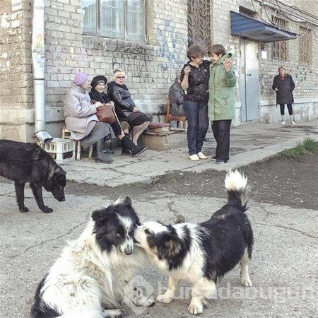 Rusya'nın diğer yüzü