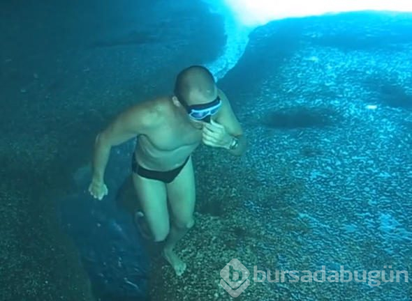 Dalgıç okyanusa daldı, çektiği video dünyayı salladı!
