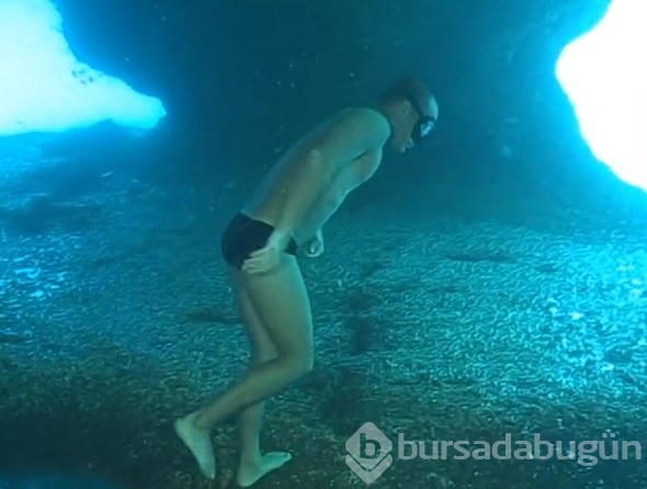 Dalgıç okyanusa daldı, çektiği video dünyayı salladı!
