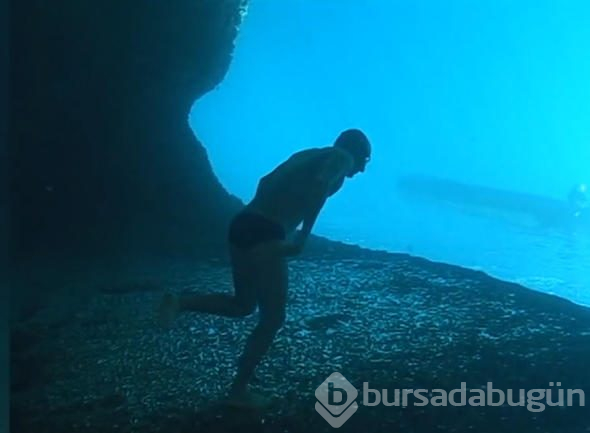 Dalgıç okyanusa daldı, çektiği video dünyayı salladı!
