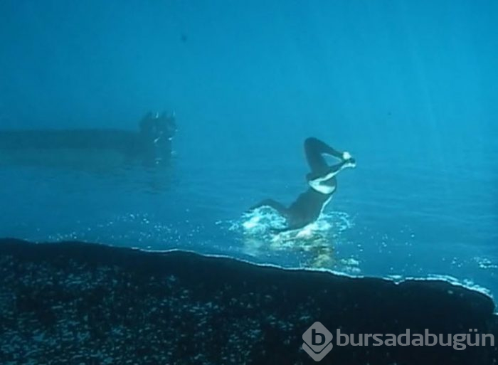 Okyanusta çözülemeyen sır! Bu kareler milyonlarca kez görüntülendi

