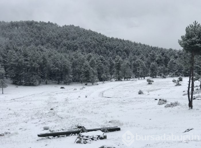 Bursa beyaza büründü...