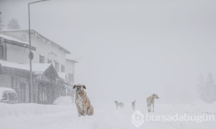 Bursa beyaza büründü...
