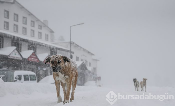 Bursa beyaza büründü...