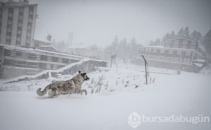 Bursa beyaza büründü...