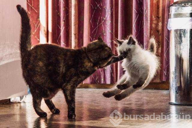 Günün en çok paylaşılan fotoğrafları (25.10.2018)
