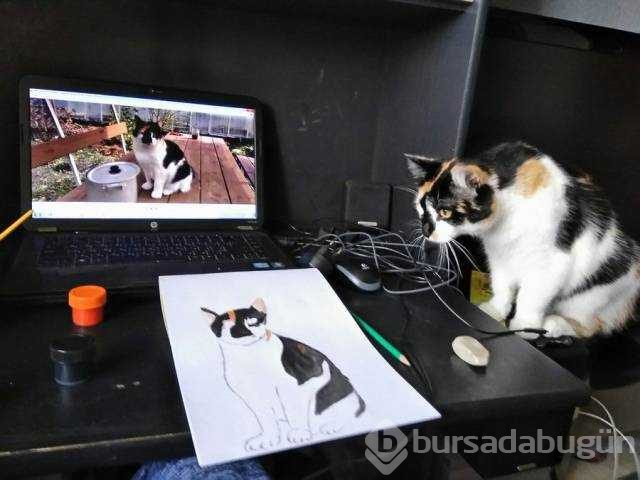 Günün en çok paylaşılan fotoğrafları (25.10.2018)
