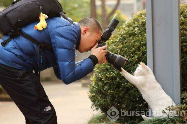 Günün en çok paylaşılan fotoğrafları (25.10.2018)
