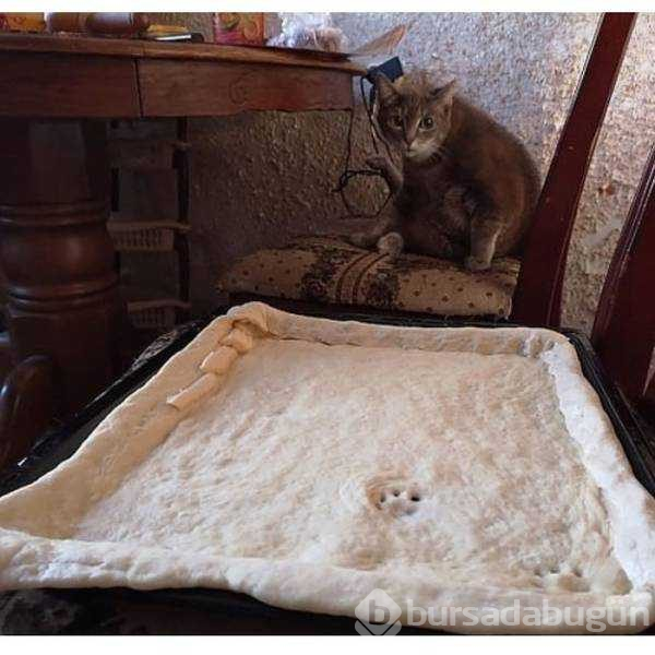 Günün en çok paylaşılan fotoğrafları (25.10.2018)
