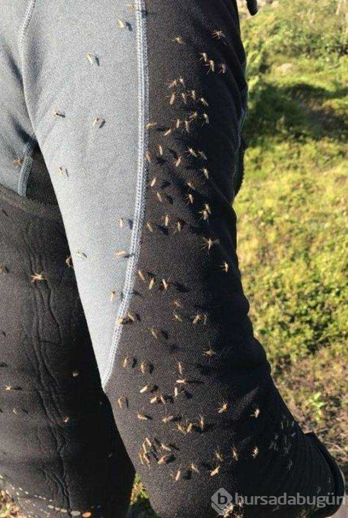 Günün en çok paylaşılan fotoğrafları (25.10.2018)
