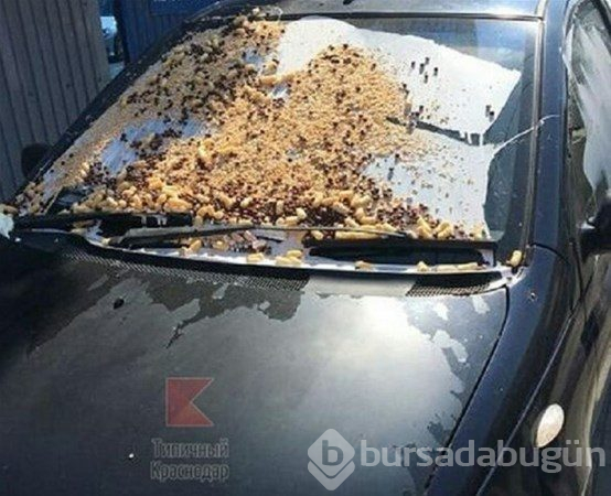 Hatalı parkın cezası...
