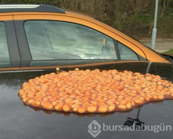 Hatalı parkın cezası...
