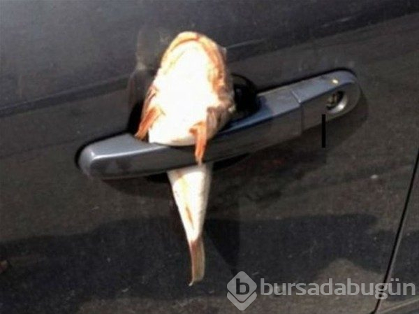 Hatalı parkın cezası...
