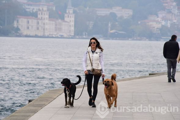 Merve Oflaz: 2 sokak köpeğim, 15 tane kedim var
