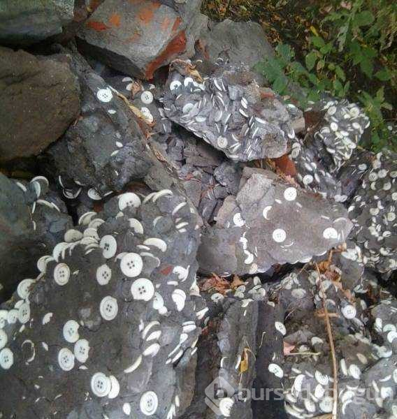 Günün en çok paylaşılan fotoğrafları (26.10.2018)