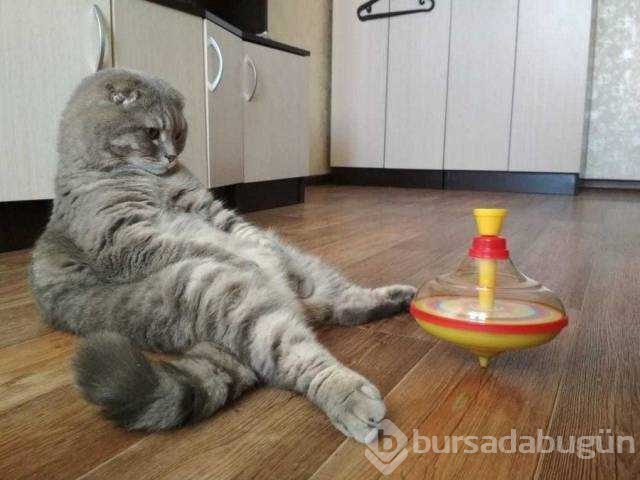Günün en çok paylaşılan fotoğrafları (26.10.2018)