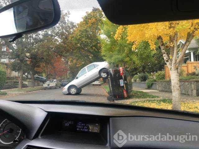 Günün en çok paylaşılan fotoğrafları (26.10.2018)