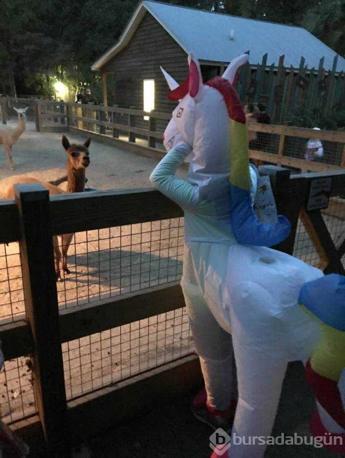 Günün en çok paylaşılan fotoğrafları (26.10.2018)