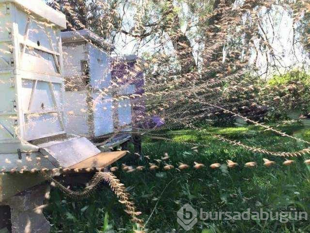 Günün en çok paylaşılan fotoğrafları (26.10.2018)