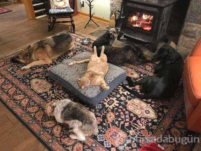 Günün en çok paylaşılan fotoğrafları (26.10.2018)