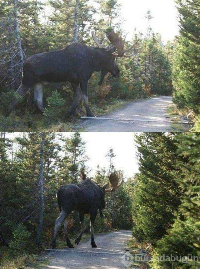Günün en çok paylaşılan fotoğrafları (26.10.2018)