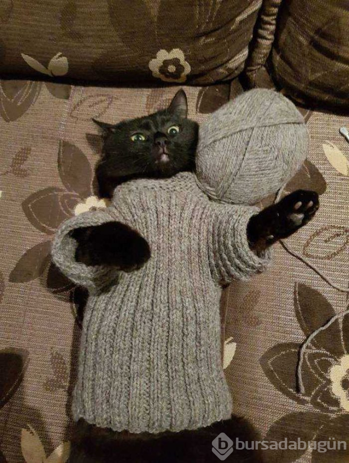 Günün en çok paylaşılan fotoğrafları (26.10.2018)