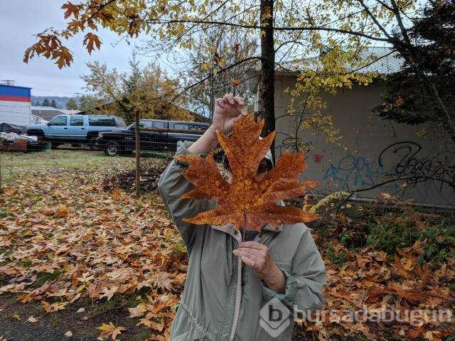 Günün en çok paylaşılan fotoğrafları (26.10.2018)