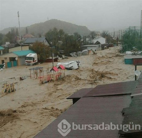 Doğanın gücü!

