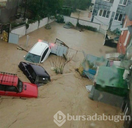 Doğanın gücü!
