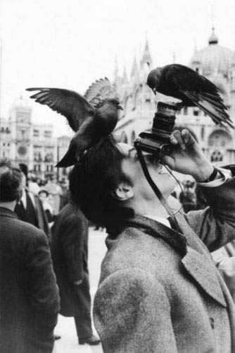 İnternette en çok tıklanan fotoğraflar!