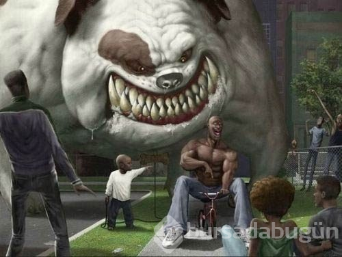 İnternette en çok tıklanan fotoğraflar!