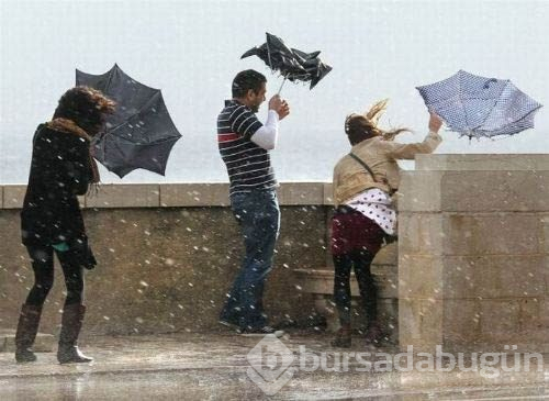 İnternette en çok tıklanan fotoğraflar!