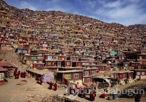 İnternette en çok tıklanan fotoğraflar!