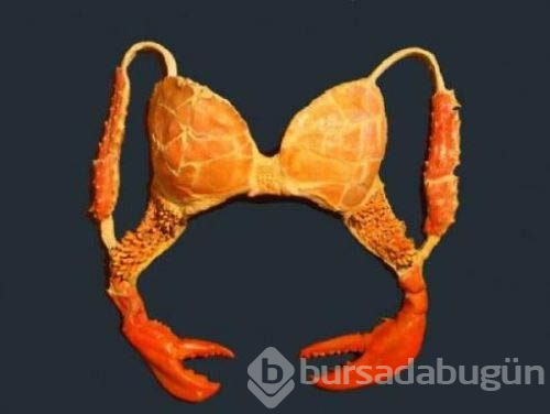 İnternette en çok tıklanan fotoğraflar!