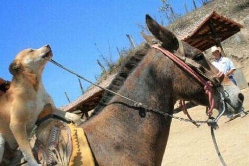 İnternette en çok tıklanan fotoğraflar!