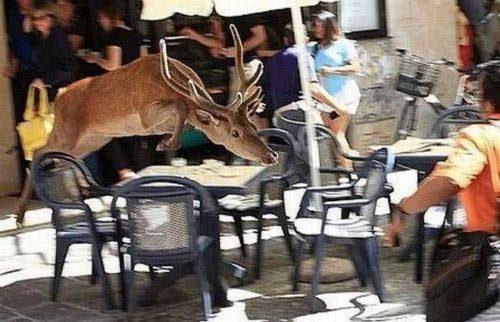 İnternette en çok tıklanan fotoğraflar!